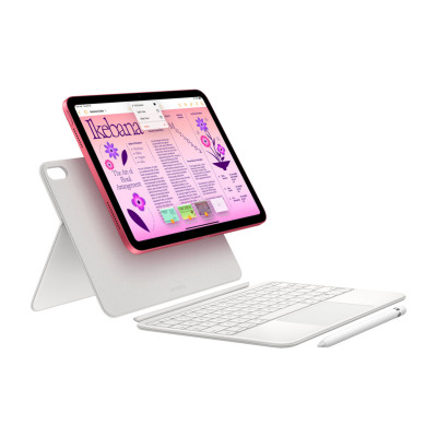 Apple iPad 11" (A16) Wi-Fi + Cellular 128 ГБ Pink Apple iPad 11" (A16) Wi-Fi + Cellular 128 ГБ Pink